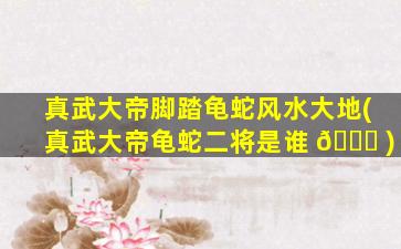 真武大帝脚踏龟蛇风水大地(真武大帝龟蛇二将是谁 🐎 )